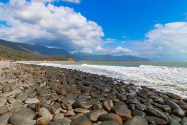 Rex Wangetti, Queensland, Avustralya 'da gözcülük yapıyor.