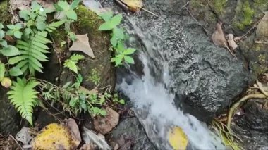 Nehir suyunun gölün ortasındaki küçük kayaların yakınındaki akışı.