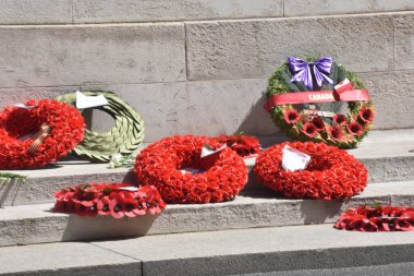 Mezarlıktaki kırmızı çiçekler