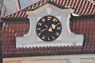 Köpek balkonda.