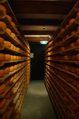 Kilerdeki peynir ve diğer peynirler