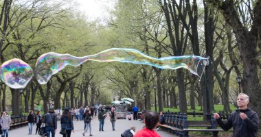 Parkta sabun köpükleri