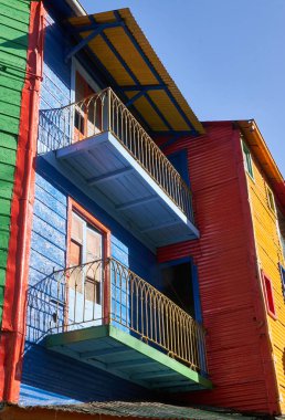 Kahverengi gözlü kahverengi atın dikey görüntüsü.