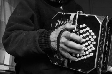 Kahverengi gözlü kahverengi atın dikey görüntüsü.