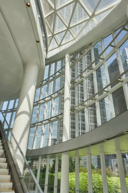 Kahverengi gözlü kahverengi atın dikey görüntüsü.