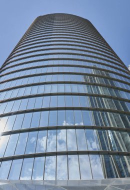 Kahverengi gözlü kahverengi atın dikey görüntüsü.