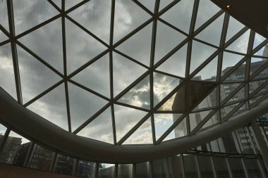 Kahverengi gözlü kahverengi atın dikey görüntüsü.