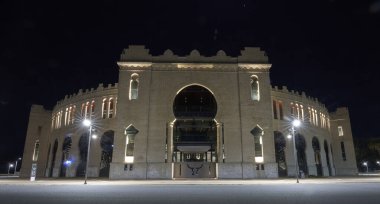 Kahverengi gözlü kahverengi atın dikey görüntüsü.