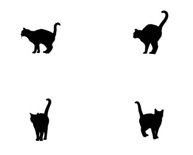 Beyaz Arkaplan Arkalı Siyah Kedi Silueti ve Kaldırılmış Kuyruk