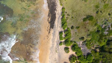 Uzun Resifin Hava Görüntüleri: Yukarıdan Sahil Güzelliği. NSW 'de. Sydney mi? Avusturalya