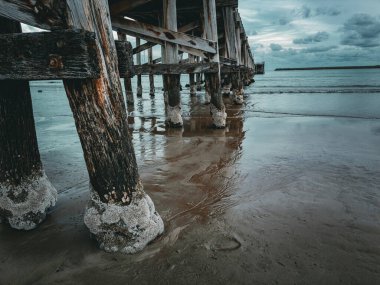 Deniz Büyüsü: Serene Jetty Coffs Harbour, NSW, Avustralya 'da Görünüyor