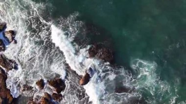 Okyanus manzaralı Sydney banliyöleri, Dee Why, Northern Beaches, NSW, Avustralya. Deniz kıyısının güzel manzarası