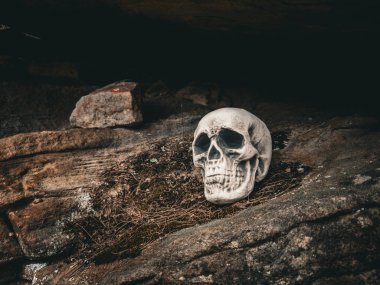 Cadılar Bayramı Kafatası, Gizem. Tropikal arka plan. Ürkütücü zaman..