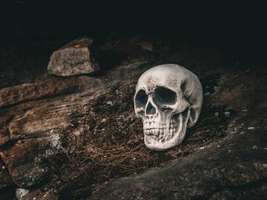 Cadılar Bayramı Kafatası, Gizem. Tropikal arka plan. Ürkütücü zaman..