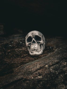 Cadılar Bayramı Kafatası, Gizem. Tropikal arka plan. Ürkütücü zaman..