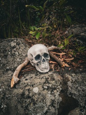 Cadılar Bayramı Kafatası, Gizem. Tropikal arka plan. Ürkütücü zaman..