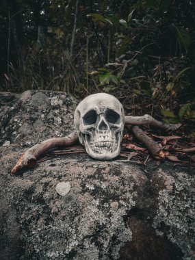 Cadılar Bayramı Kafatası, Gizem. Tropikal arka plan. Ürkütücü zaman..