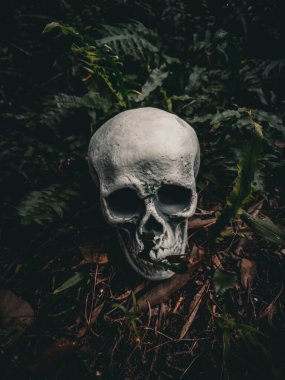 Cadılar Bayramı Kafatası, Gizem. Tropikal arka plan. Ürkütücü zaman..