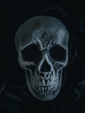 Cadılar Bayramı Kafatası, Gizem. Tropikal arka plan. Ürkütücü zaman..