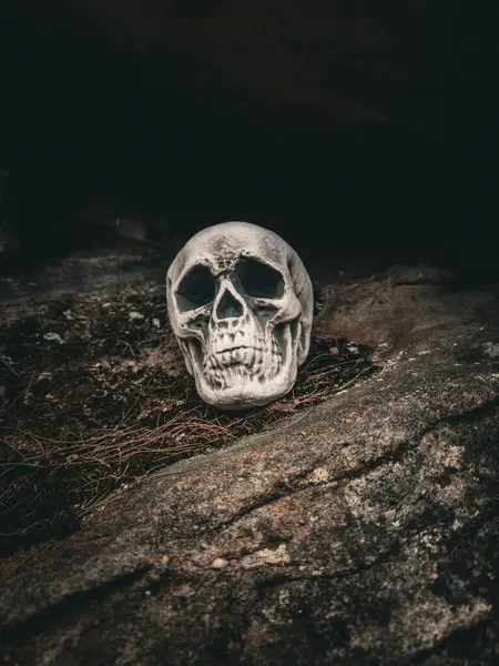 Cadılar Bayramı Kafatası, Gizem. Tropikal arka plan. Ürkütücü zaman..