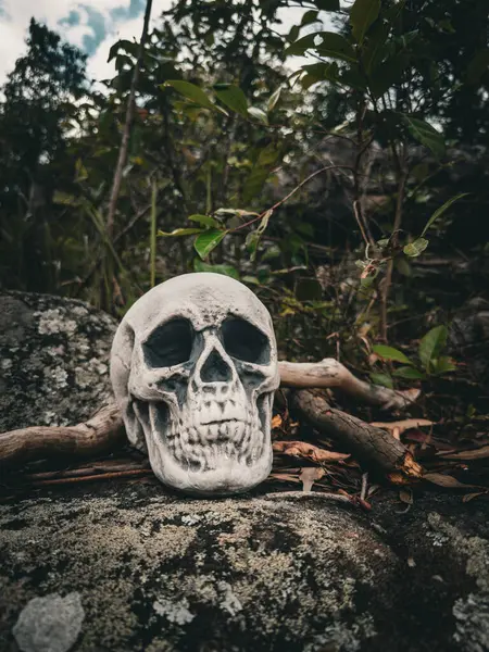 Cadılar Bayramı Kafatası, Gizem. Tropikal arka plan. Ürkütücü zaman..