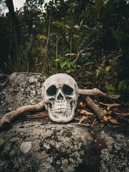 Cadılar Bayramı Kafatası, Gizem. Tropikal arka plan. Ürkütücü zaman..