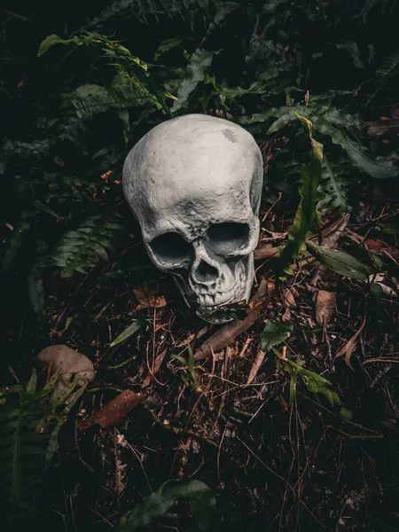 Cadılar Bayramı Kafatası, Gizem. Tropikal arka plan. Ürkütücü zaman..