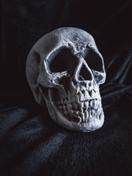 Хэллоуинский Череп, Тайна. Тропический фон. Страшное время.