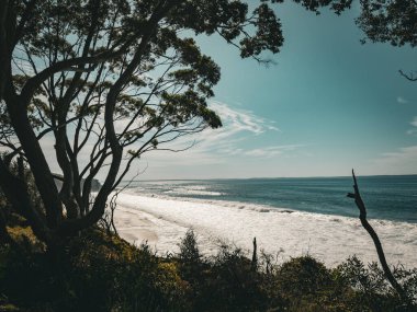 Jervis Körfezi Crystal Clear Waters, NSW, Avustralya