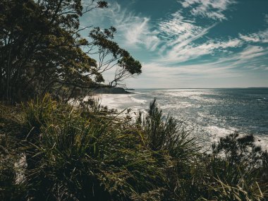 Jervis Körfezi Crystal Clear Waters, NSW, Avustralya
