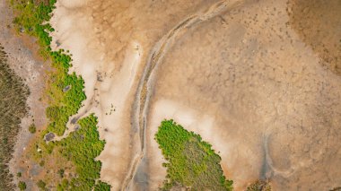Northern Beaches, Avustralya, Dee Neden Okyanus Manzarası, Avustralya Banliyösü.