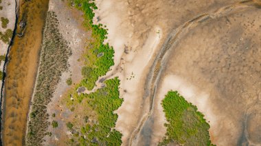 Northern Beaches, Avustralya, Dee Neden Okyanus Manzarası, Avustralya Banliyösü.