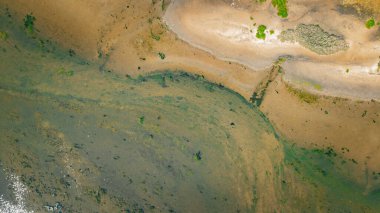Northern Beaches, Avustralya, Dee Neden Okyanus Manzarası, Avustralya Banliyösü.