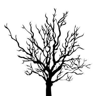 Tree Roots Illustration, Sonbahar, Cadılar Bayramı, Vektör Clipart