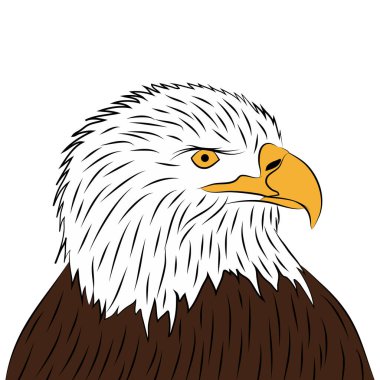 Eagle Illustration, Bird, American 