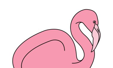 Flamingo El Çizimi Çizimi, Kuş