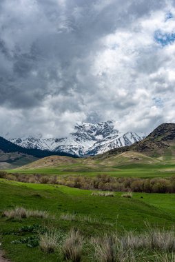 Yeşil çimlerle kaplı güzel bir manzara.