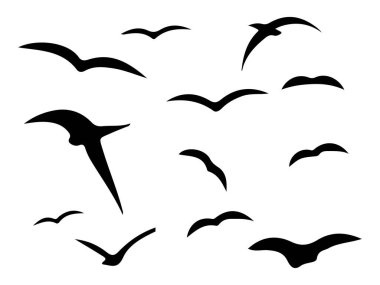 Uçan Kuş Sürüsü Uçan kuşların soyut vektör çizimi