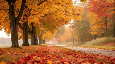 Sonbahar yapraklı bir yol ve yerde kırmızı ve sarı bir ağaç. Yapay Zeka ile oluşturuldu