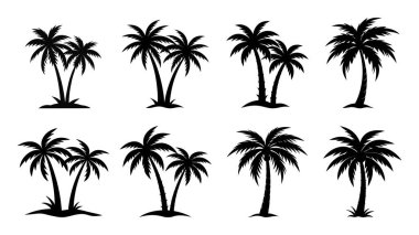 Beyaz arkaplanda izole edilmiş farklı palmiye ağacı silueti seti, stok vektör illüstrasyonu