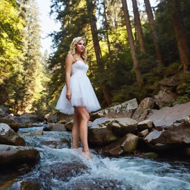 Low Angle Shot, majestic low angle shot of a young adult fairy, her blond hair cascading down as she hovers above a sparkling stream, framed by towering ancient trees, emphasizing her ethereal presence clipart