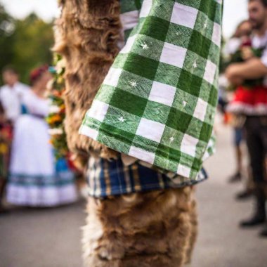 extreme macro Bavarian costume. The rack focus, capturing the festive spirit of Oktoberfest clipart