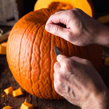 A macro photo of a caucasian male adult fingers smoothing the edges of a freshly carved section of a pumpkin, deep focus showing the detailed texture of the pumpkin and his hands, eye level shot emphasizing the craftsmanship clipart