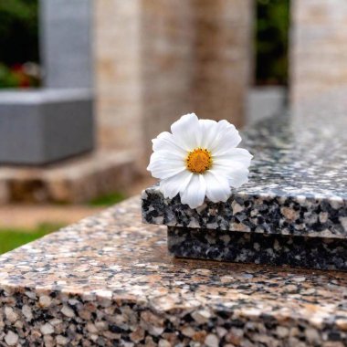 A close-up of a single flower placed on a Jewish memorial stone during Yom Kippur, with the name of the deceased in focus and the rest of the scene gently blurred clipart