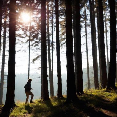 Young man silhouette in regular clothes long pants running away escaping at the top of a hill in woods with a rough coat Jack Russell terrier running with him the sun stream through the trees clipart