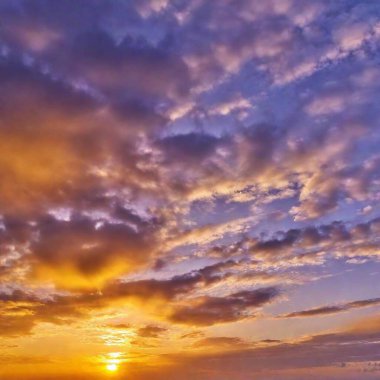 Sunrise sky with heart shaped clouds and a flying bird clipart