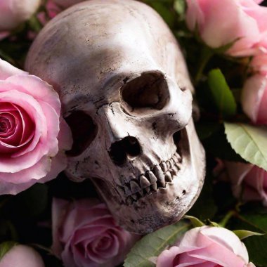 Realistic skull and roses art white background clipart