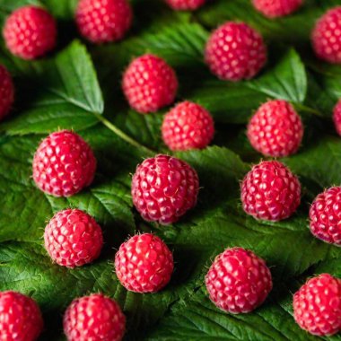 fresh raspberry close up clipart