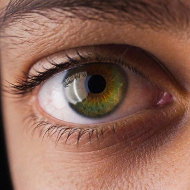 close - up portrait of a young man with a green eye. macro shot. clipart