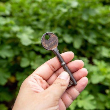 a secret key found in a thriving vegetable garden clipart